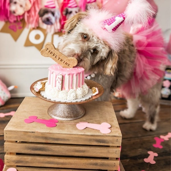 Double Decker Dog Birthday Cake with Custom Name Bone Topper | 4 Inch Cake