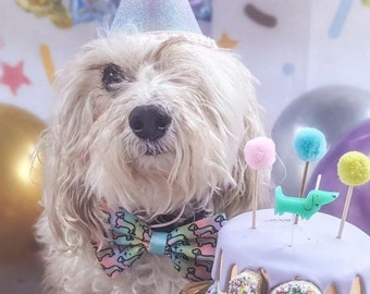 Rainbow Sherbet Dog Cake 5 Inch Double Decker | Dog Birthday Cake with Custom Name Bone