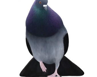 Rock Pigeon sticker, 3" vinyl die cut waterproof sticker