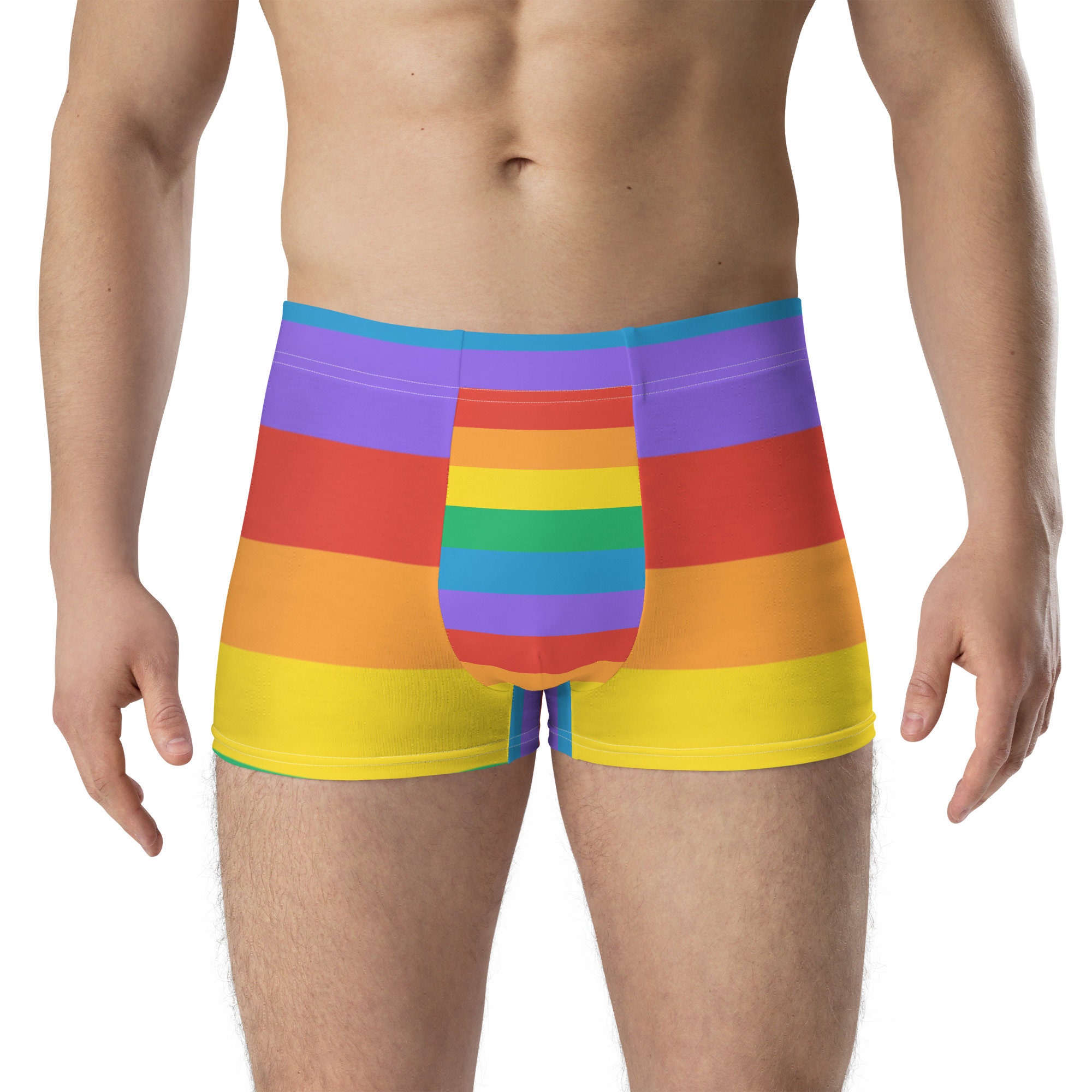 Pride Rainbow Stripe Boxer Briefs Gay Pride Underwear Pride Shorts Pride  Apparel Rainbow Pride Men's Shorts LGBTQ Shorts -  Canada