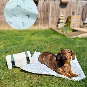 May include: A brown and tan dachshund dog lies on a light blue dog bed with a bow pattern. A matching cream-coloured dog bed carrier with green straps and black buckles is next to it on the grass.
