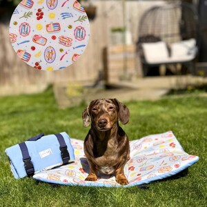 May include: A brown dachshund sits on a picnic blanket with a light blue border. The blanket features a pattern of sardines, lemons, and tomatoes. A matching light blue bag with black buckles is to the left.
