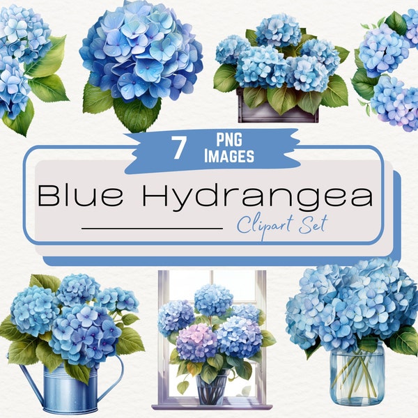 Watercolor Blue Hydrangea Clipart Bundle, Spring Floral Bouquets Illustrations, Spring Summer Garden Graphics, Hydrangea Flower PNG Download