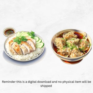 May include: Two plates of Asian food. The first plate has white rice topped with sliced chicken, cucumber, and cilantro. The second plate has a bowl of wonton soup with a dark broth and green onions.