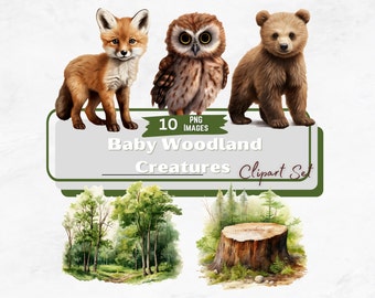 Baby Waldtiere Aquarell Clipart Set, Waldtiere Clipart Bundle, Baby-Dusche, Kinderzimmer Dekor, Baby Tiere, Sofort Download PNG