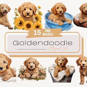 Pacchetto di clipart di cuccioli di Goldendoodle ad acquerello, adorabili illustrazioni di cani PNG, grazioso ritratto digitale di cucciolo di Labradoodle, download immediato