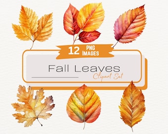 Fall Leaves Clipart Set, Fall Foliage, Autumn Leaf Clipart, Cozy Fall Clipart, Dry Leaves Illustration, Commercial Use Instant Download PNG