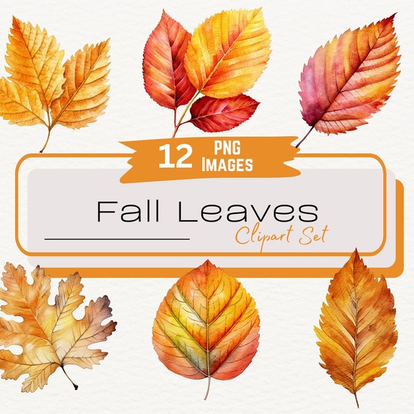 Fall Leaves Clipart Set, Fall Foliage, Autumn Leaf Clipart, Cozy Fall Clipart, Dry Leaves Illustration, Commercial Use Instant Download PNG