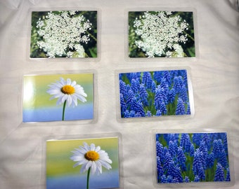 Dementia Activity: Flower Matching Game