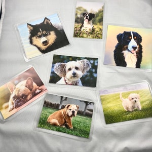 Dementia Activity: Dog Matching Game