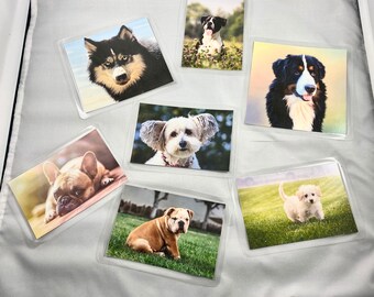 Dementia Activity: Dog Matching Game