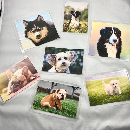 Dementia Activity Dog Matching Game Etsy