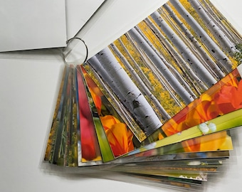 Dementia Activity: Spring Photo Book