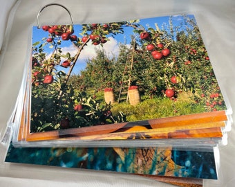 Dementia Activity: Fall Photo Book
