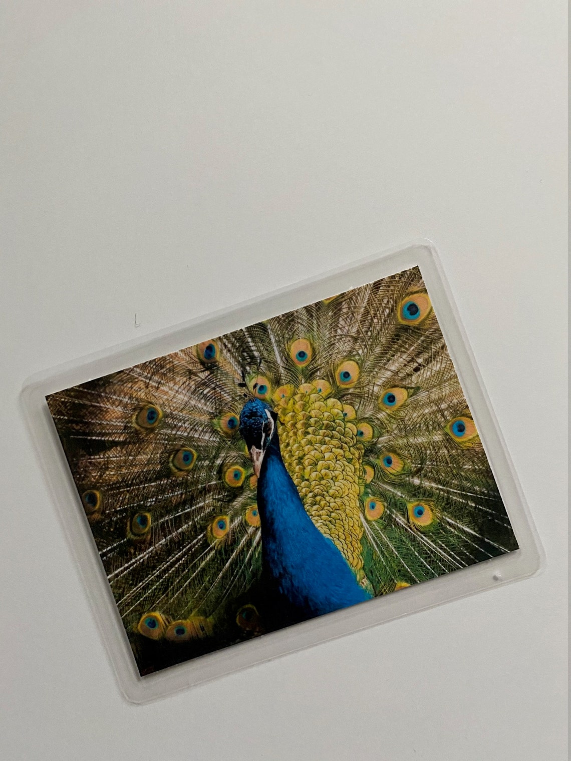 Dementia Activity Bird Matching Game Etsy