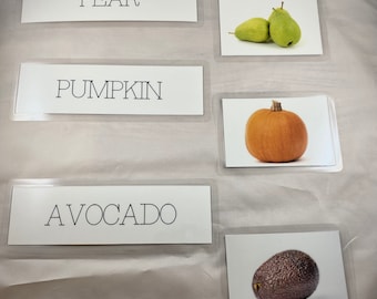 Dementia Activity: Match the Foods & Words