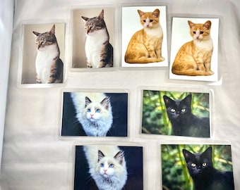 Dementia Activity: Cat Matching Game