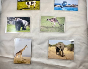 Dementia Activity: Animal Matching Game