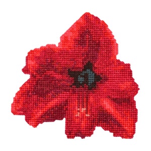 Amaryllis Flower Cross Stitch Pattern