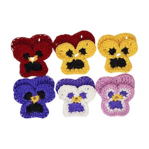 Pansy Flower Variations