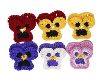 Pansy Flower Variations