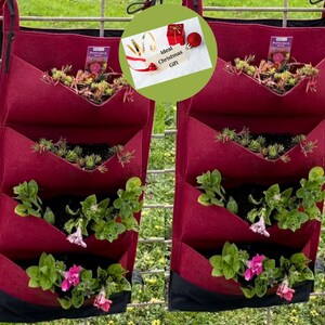 Red Felt Vertical Grow Bags, 2 pack x 4 Pocket ideal for Succulents, herbs and growing seedlings