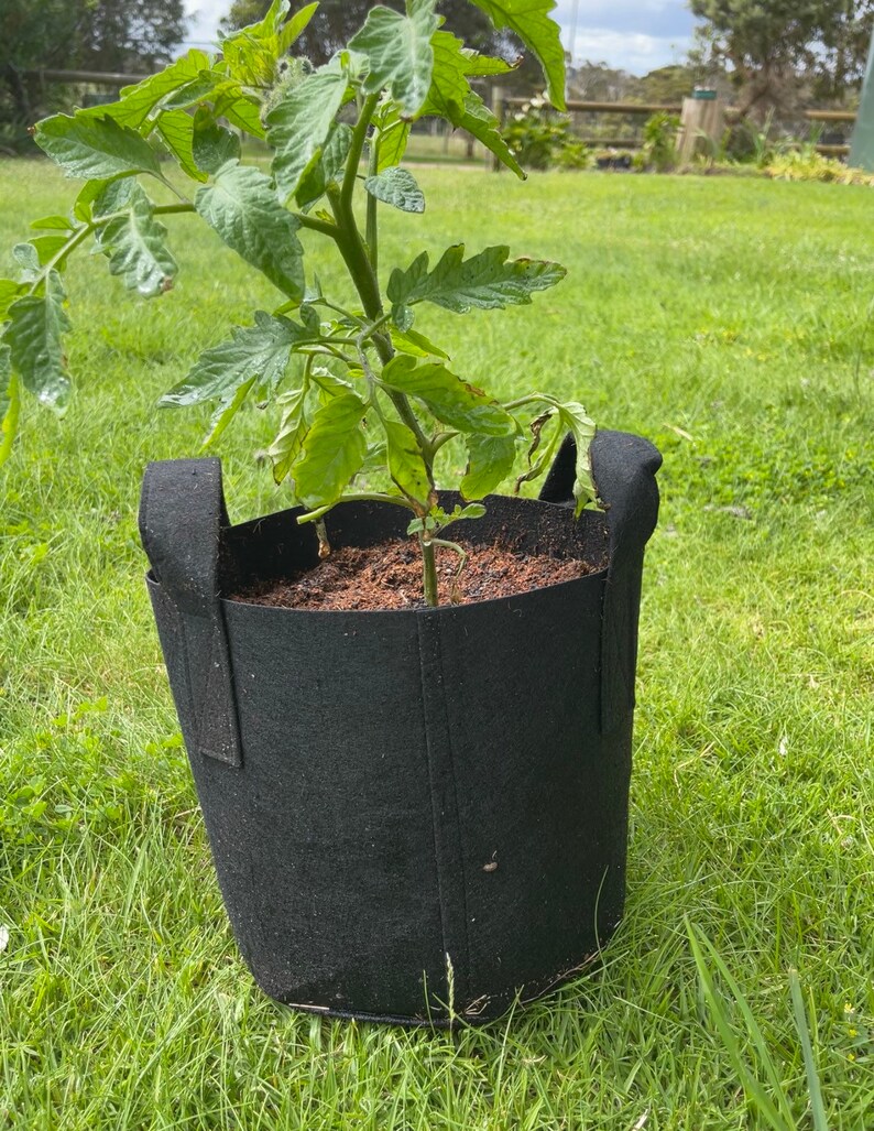Felt Grow Bag Planters 11l/3gallon 5 Pack Black Etsy