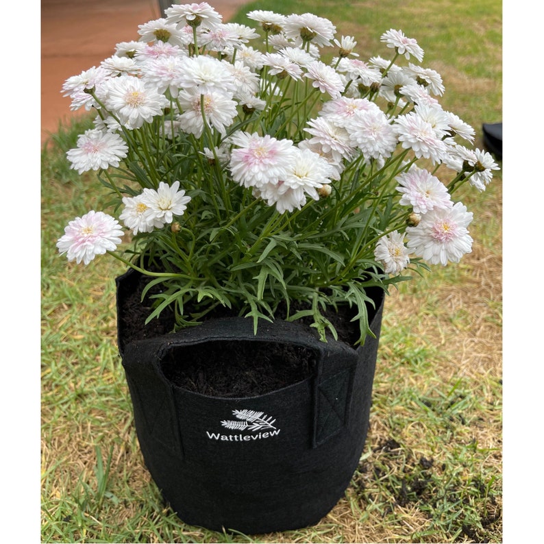 Felt Grow Bag Planters 11l/3gallon 5 Pack Black Etsy