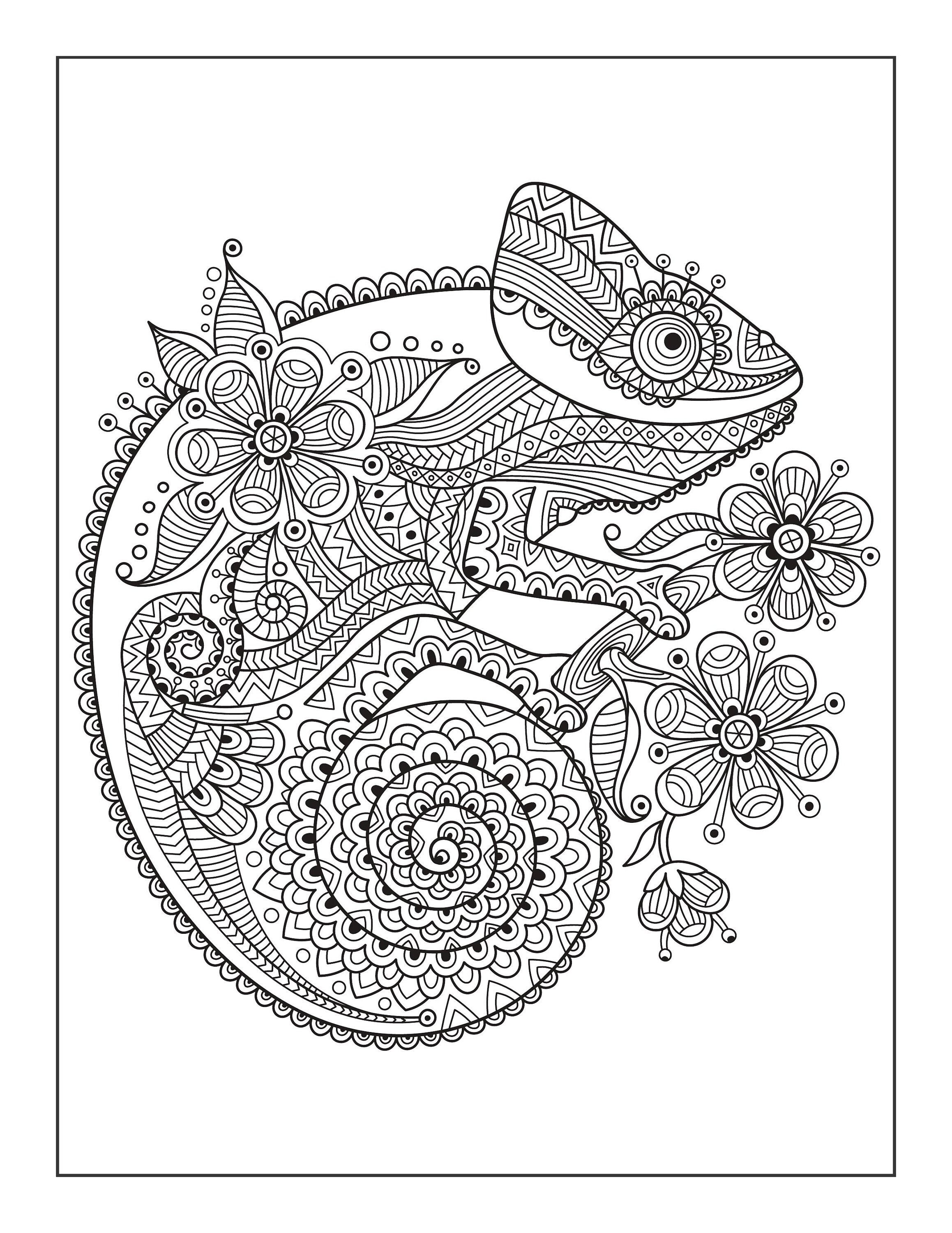 Fun Animal Mandala Coloring Pages | Etsy