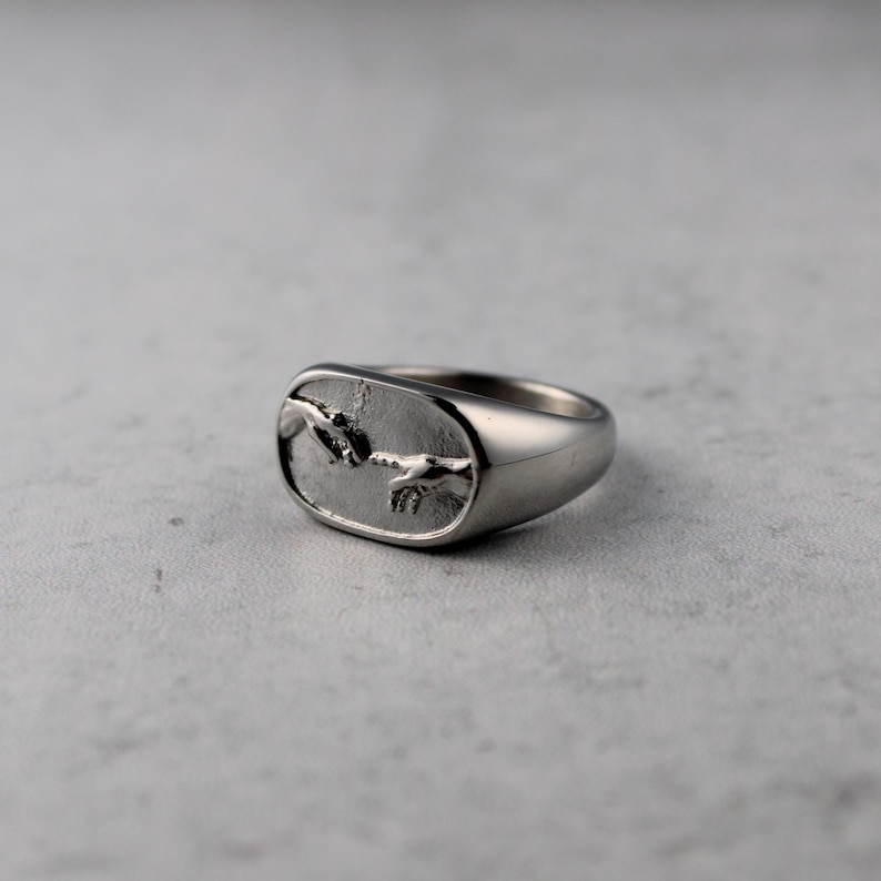 Creation of Adam Ring