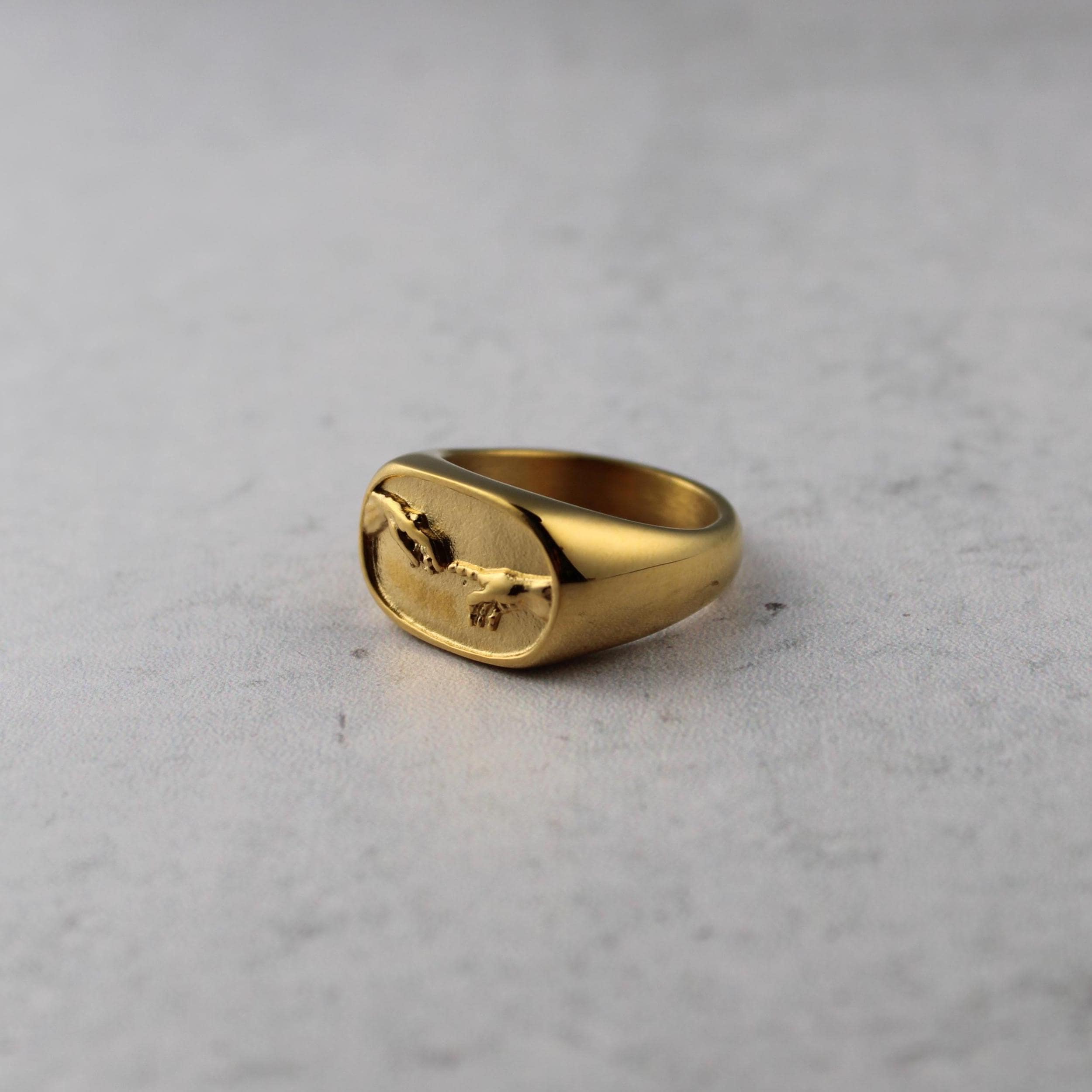 Gold Creation of Adam Ring Stainless Steel 7-12 - Mens Statement