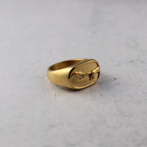 Creation of Adam Ring