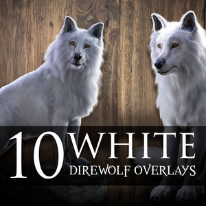10 White Direwolf Overlays | Wolf | Overlays | Fantasy | Render | Stock | PNG