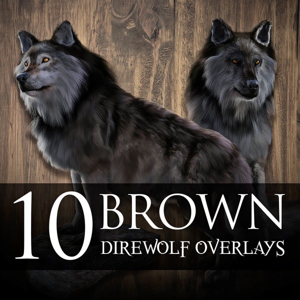 10 Brown Direwolf Overlays | Wolf | Overlays | Fantasy | Render | Stock | PNG