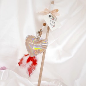 Crazycanne for holographic heart cat