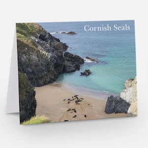 Cornish Seals - Blank Greetings Card