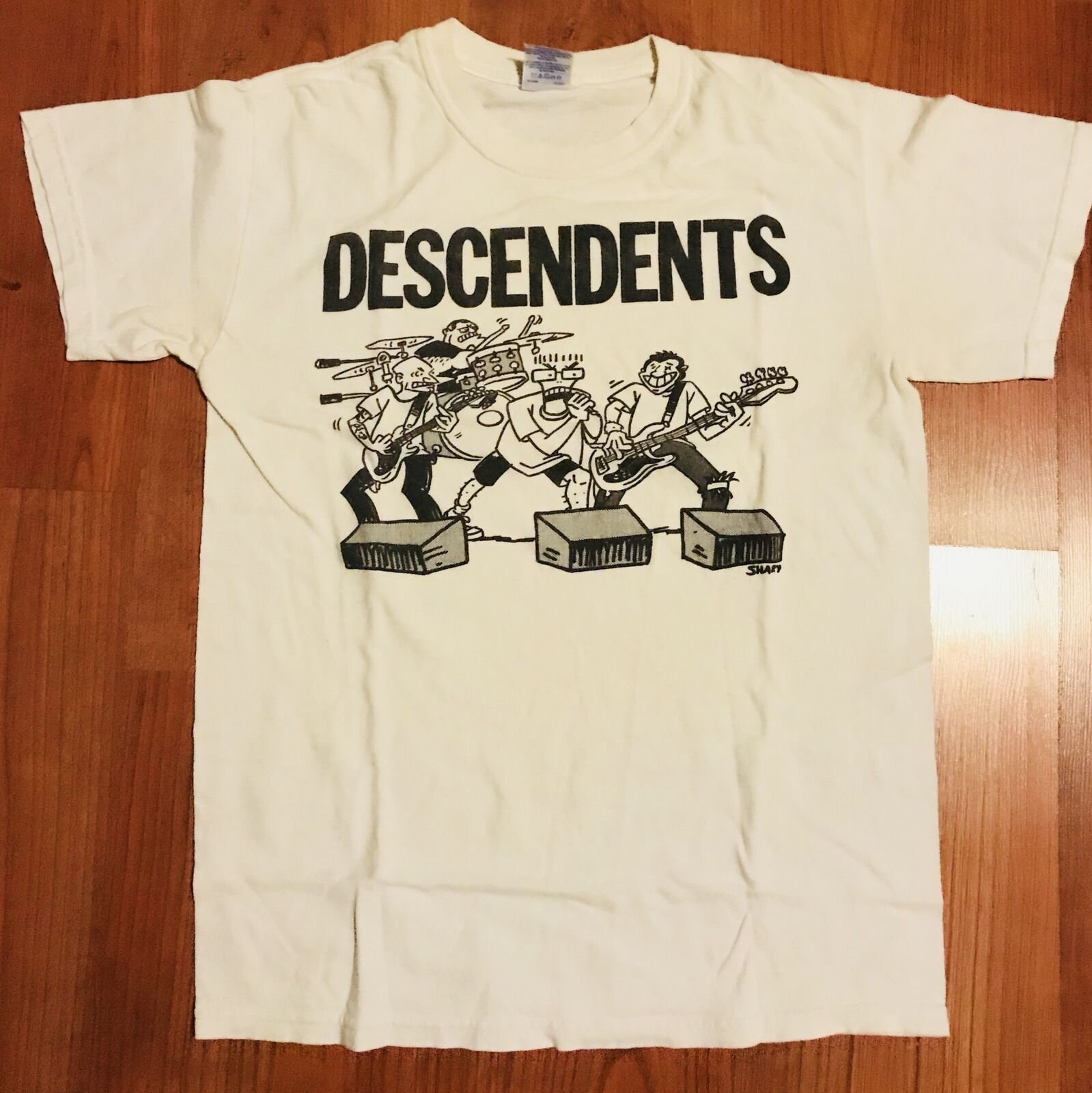 New Descendents Oversized Album Singer T-Shirt Size USA