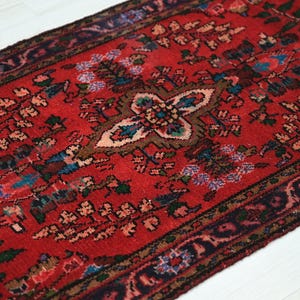 May include: A rectangular area rug featuring a vibrant red background with intricate floral and geometric patterns in shades of dark blue, green, cream, and brown. The design includes a central medallion motif surrounded by detailed botanical elements.