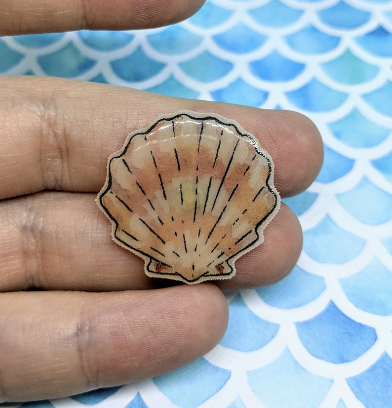 Clam Shell Pin - Etsy
