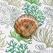 Clam Shell Pin - Etsy