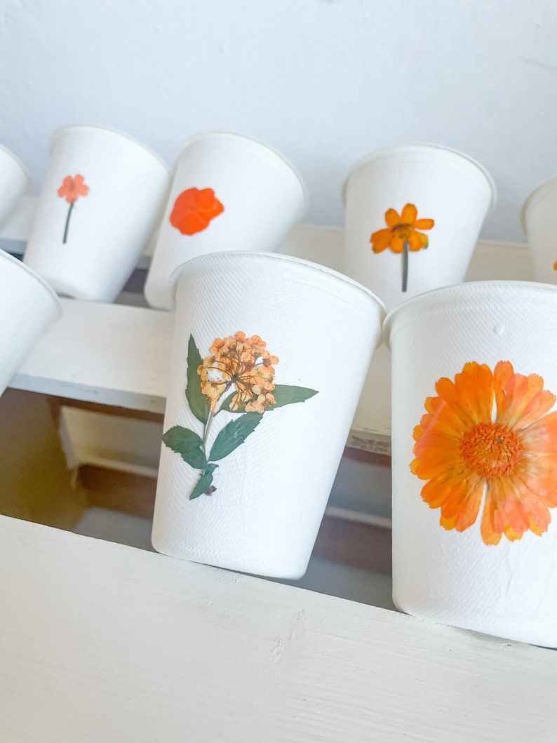 Compostable Orange Floral Party Cups, Disposable Cups, Flower Party Decor, Eco-friendly Party Supplies, Compost at home image 6