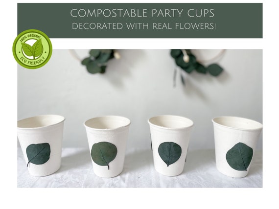 True Disposable Plastic Cups for 100 Guests