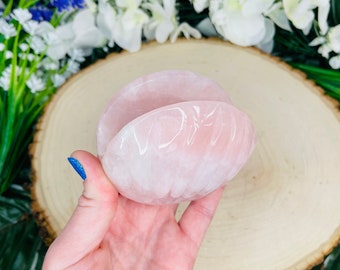 LARGE Rose Quartz Clam Shell | Love | Emotional Healing