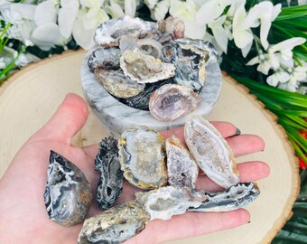 Oco Geode 1 Lb Lot – Natural Polished Agate Crystals, Druzy Geode Halves, Brazil
