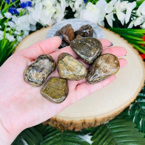 Bronzite Tumbles | Pocket Stone | Large Polished Bronzite