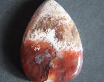 Cabochon vintage Graveyard Point Plume Agate, pierres précieuses de l'Oregon (30 mm)