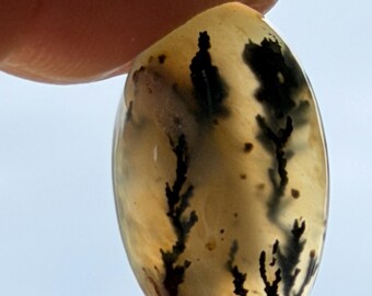 Cabochon ovale en agate à plumes noires et blanches, idéal pour la création de bijoux et le travail du fil (25 x 15 x 6 mm). Cabochons offerts.