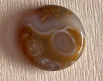 Cabochon vintage Graveyard Point Plume Agate, 31 mm rond, pierres précieuses de l'Oregon