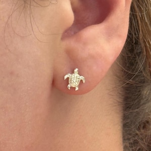 Puede incluir: Un pequeño pendiente de tuerca de tortuga plateada se muestra en una oreja. El pendiente está detallado con superficies texturizadas, mostrando el caparazón, la cabeza y las aletas de la tortuga. El pendiente es una pieza de joyería simple pero elegante.