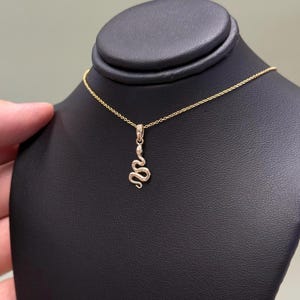 Puede incluir: Un collar con colgante de serpiente dorado. El colgante es un diseño de serpiente estilizado y detallado. El collar se exhibe en un expositor de joyería negro. La cadena es delicada y parece ser de oro. El colgante de serpiente es el punto focal.